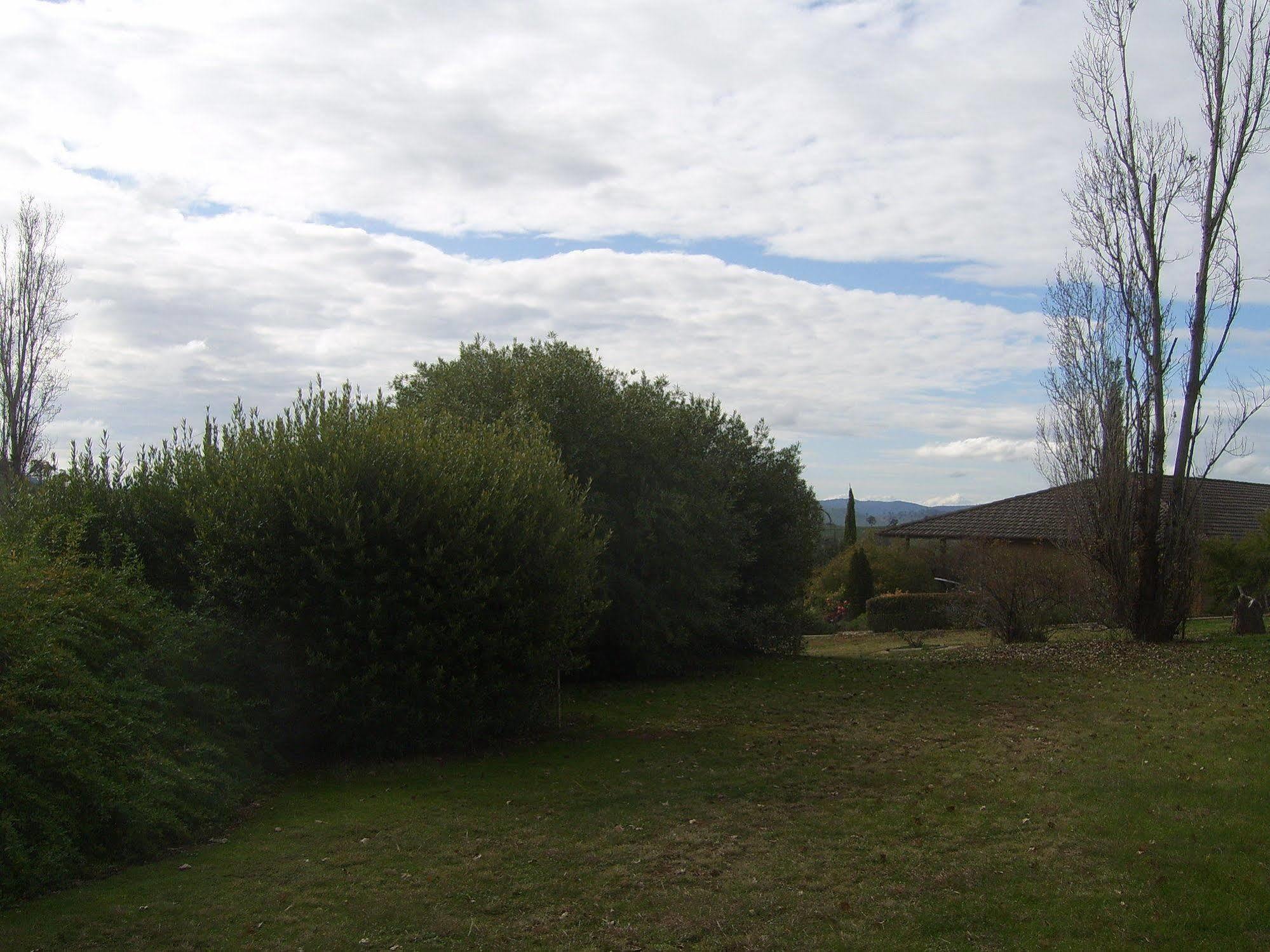 Garden Motor Inn Gundagai Exteriér fotografie