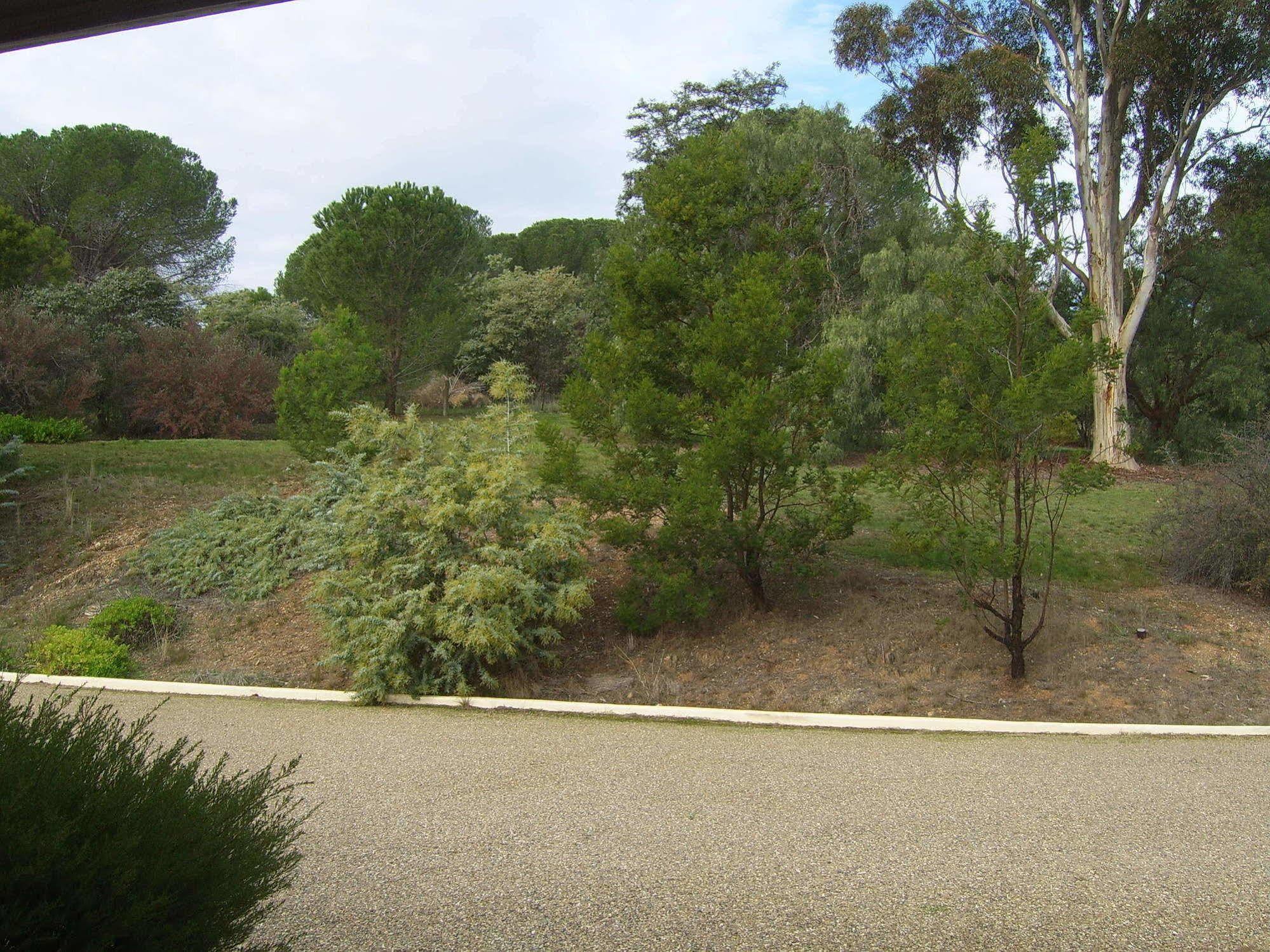 Garden Motor Inn Gundagai Exteriér fotografie