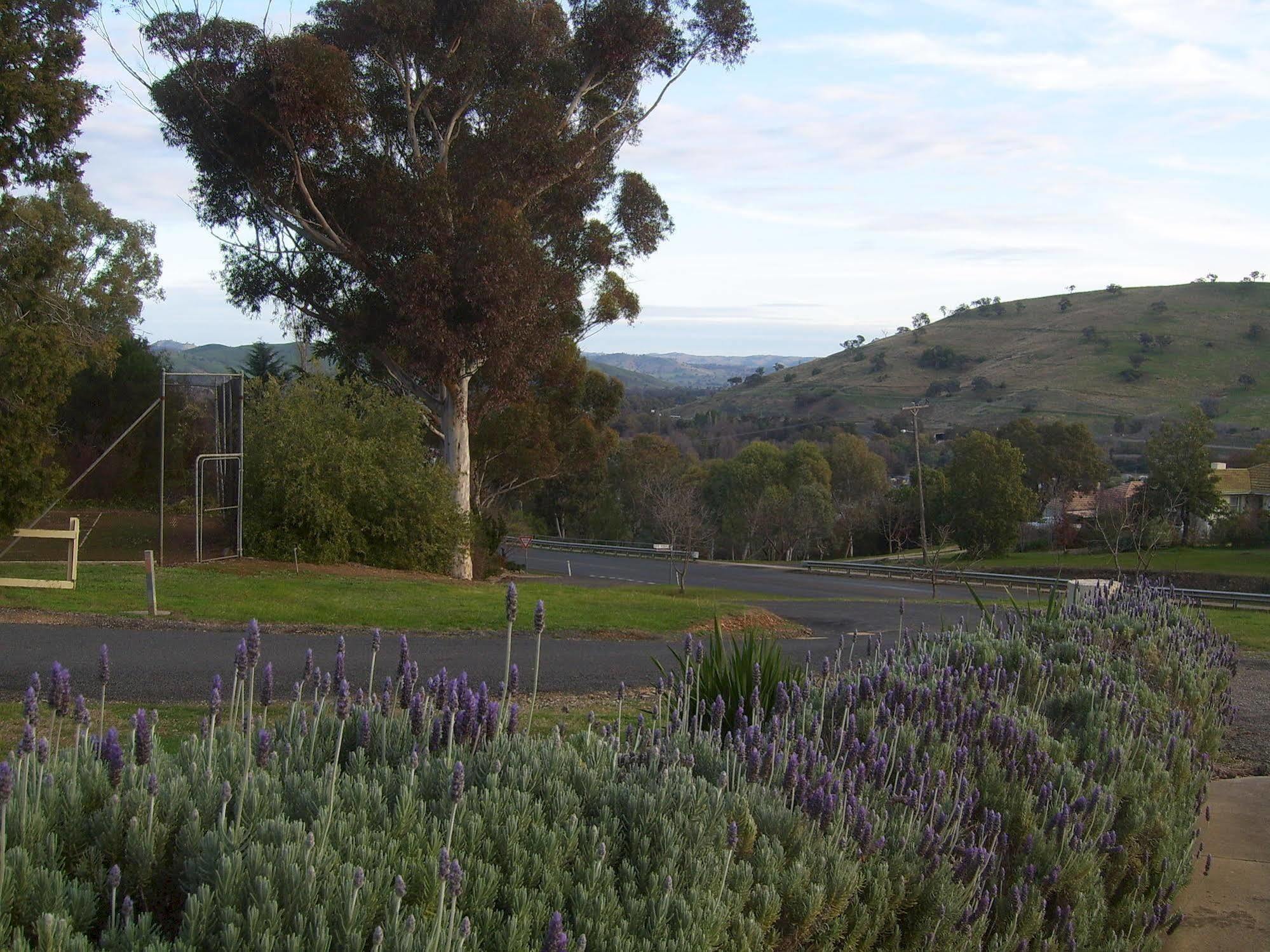 Garden Motor Inn Gundagai Exteriér fotografie