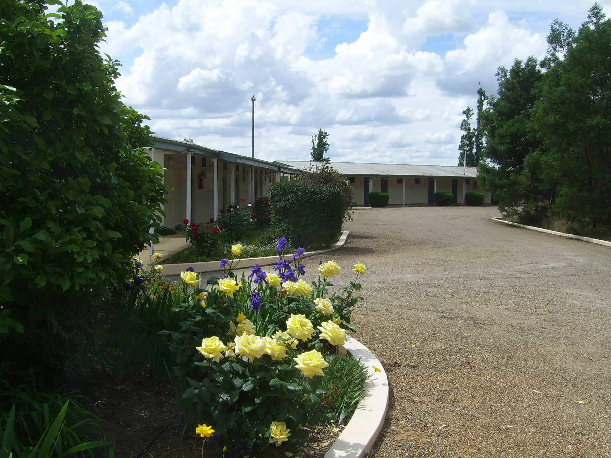 Garden Motor Inn Gundagai Exteriér fotografie